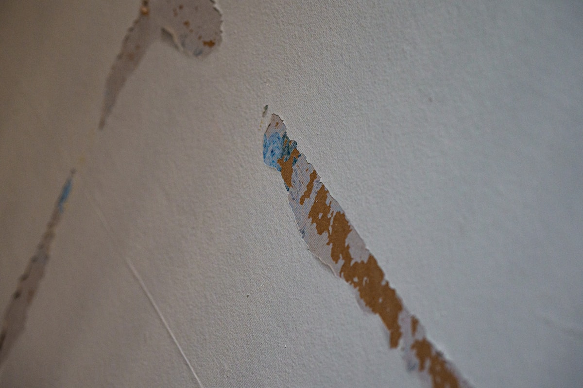 Flood Cleanup service in Kenosha, WI